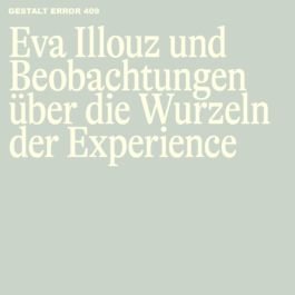 Eva Illouz und Experience